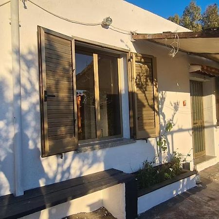 Cosy Home With Private Parking By The Sea سينيسكولا المظهر الخارجي الصورة