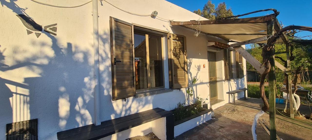 Cosy Home With Private Parking By The Sea سينيسكولا المظهر الخارجي الصورة